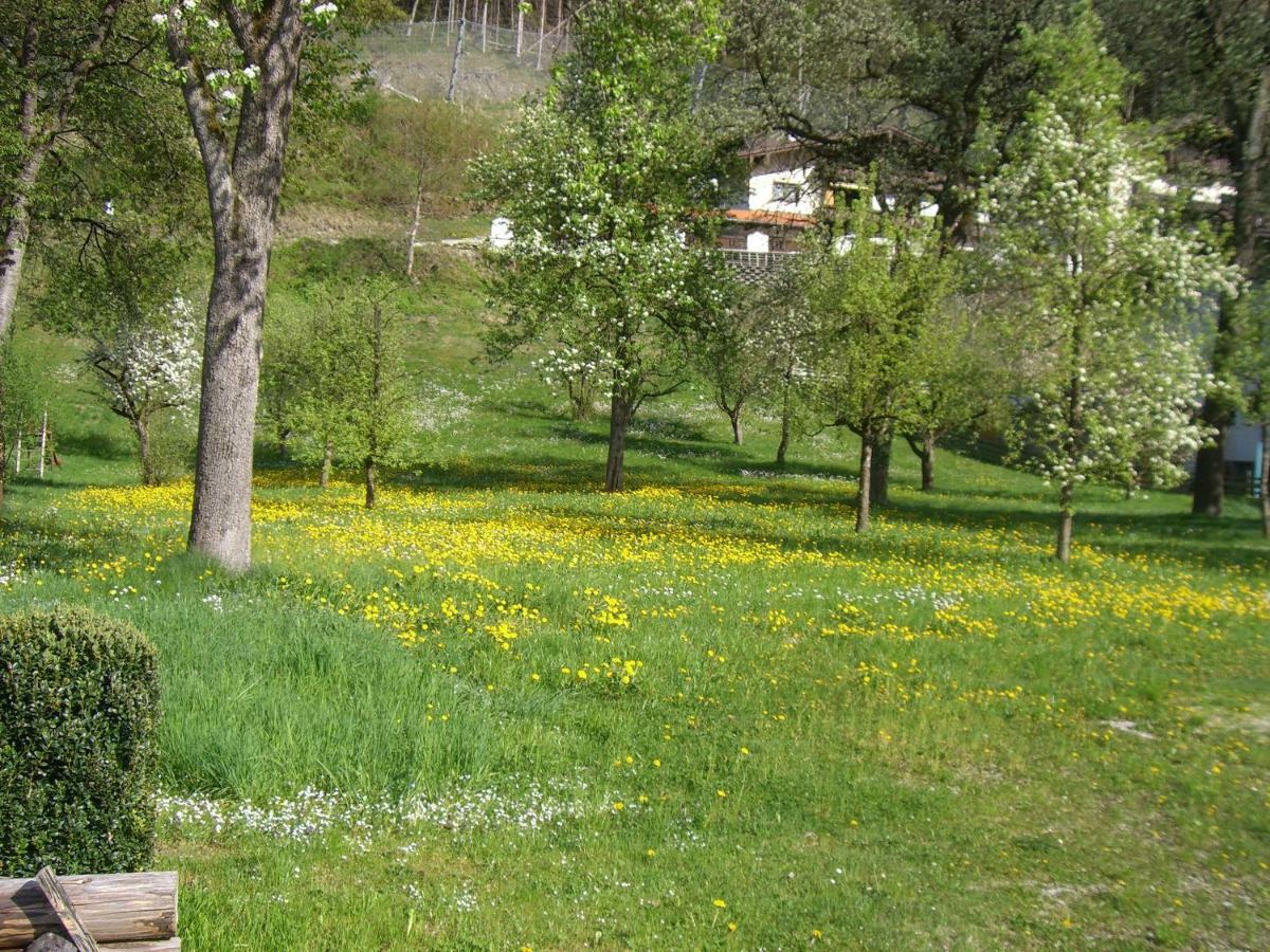 Appartement Britzerhof Mayrhofen